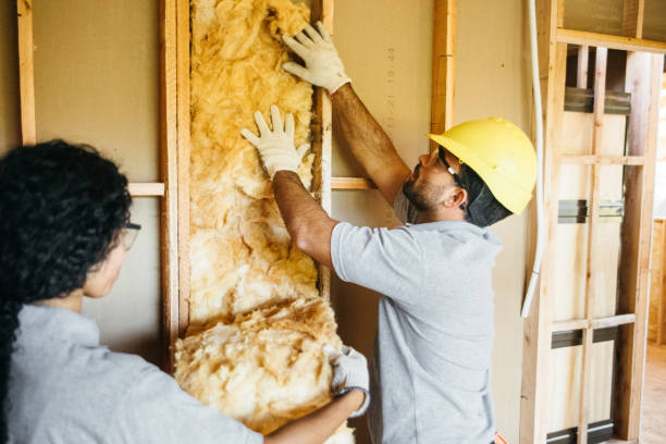 Best Blown-In Insulation  in Dumas, AR